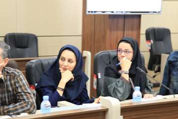 کارگروه مهندسی مشاغل قطب ده دانشگاه های علوم پزشکی